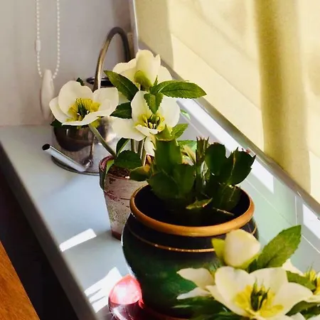 Apartament In Der Altstadt